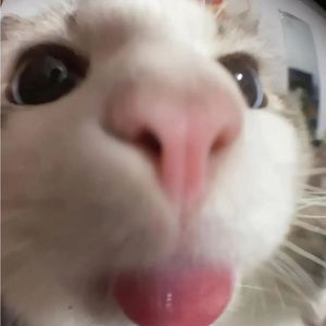 Meet your Posher, Nadia